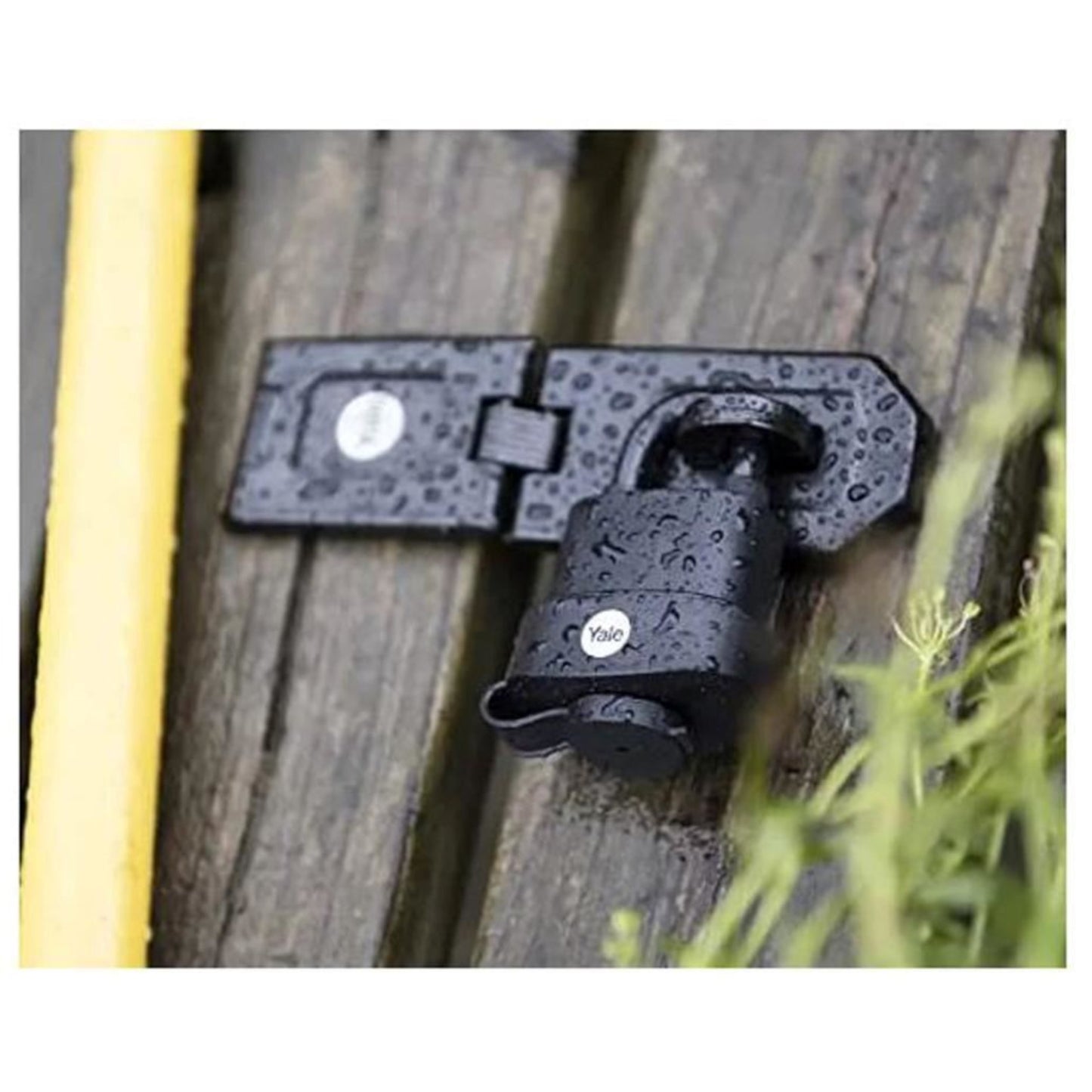 Yale Weatherproof Padlock and Hasp Outdoor Hardened Steel 3 Keys High Security