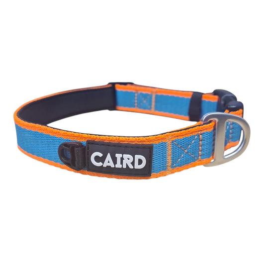 CAIRD Journey Light Dog Collar Nylon Padded Neoprene (Aqua & Orange)