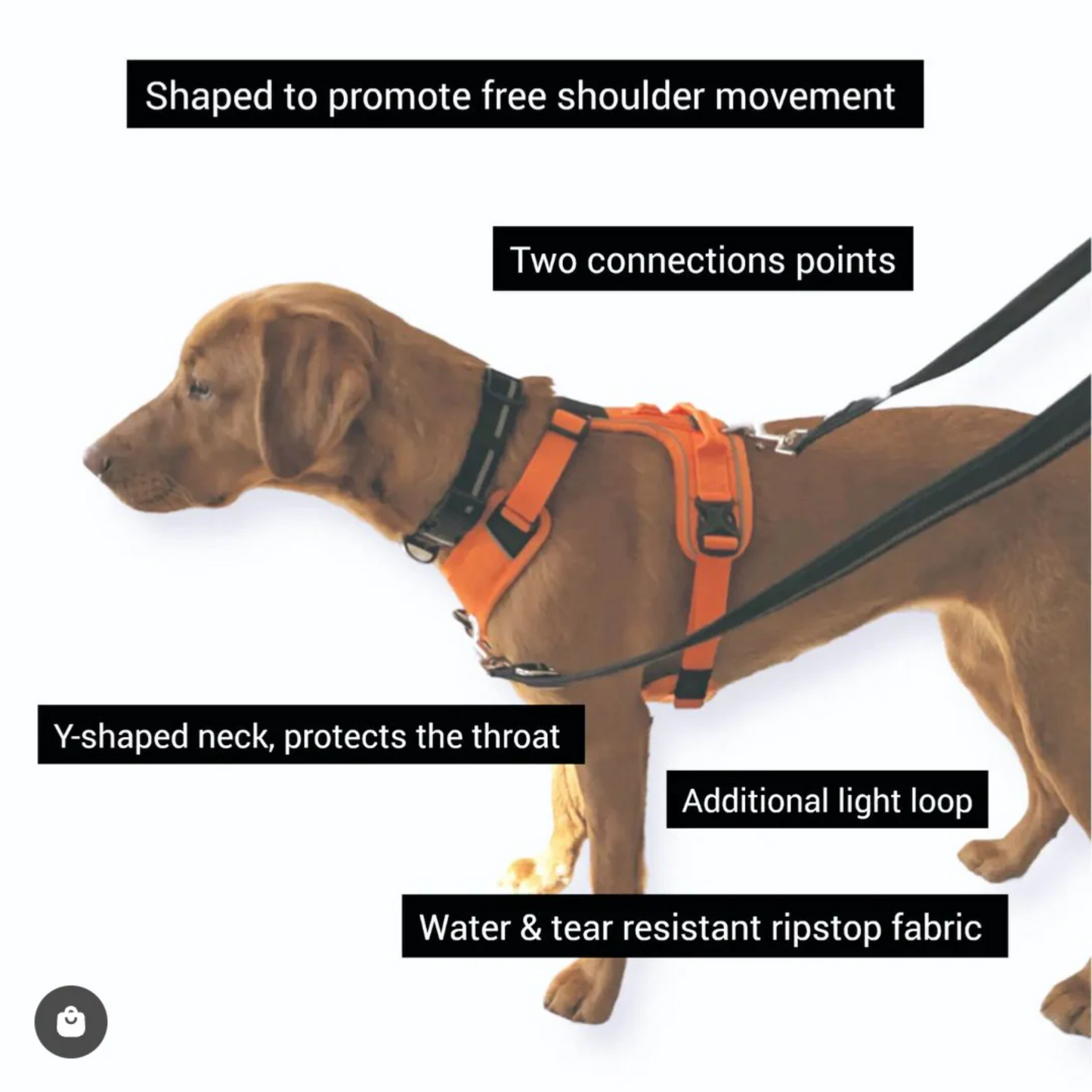 CAIRD Advance Dog Harness Ergonomic Y-Shape No Pull Reflective with Handle Black