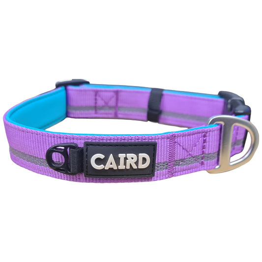 CAIRD Journey Light Adjustable Dog Collar Reflective Nylon Padded Neoprene (Purple)