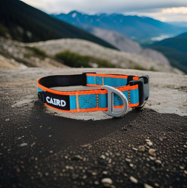 CAIRD Journey Light Dog Collar Nylon Padded Neoprene (Aqua & Orange)