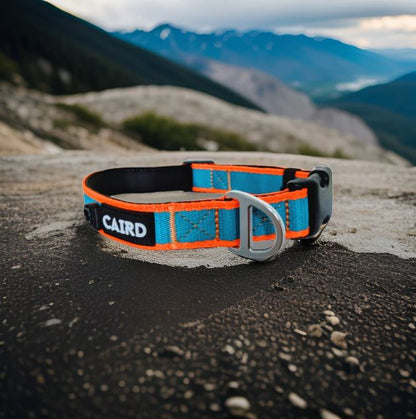 CAIRD Journey Light Dog Collar Nylon Padded Neoprene (Aqua & Orange)