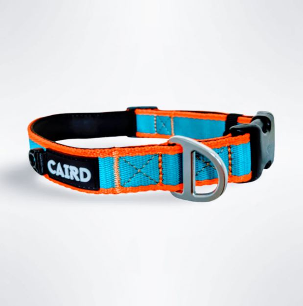 CAIRD Journey Light Dog Collar Nylon Padded Neoprene (Aqua & Orange)