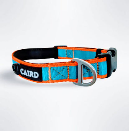CAIRD Journey Light Dog Collar Nylon Padded Neoprene (Aqua & Orange)