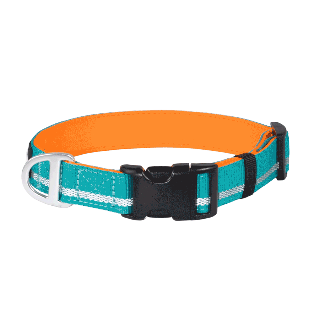 CAIRD Journey Light Adjustable Dog Collar Reflective Nylon Padded Neoprene (Aqua & Orange)