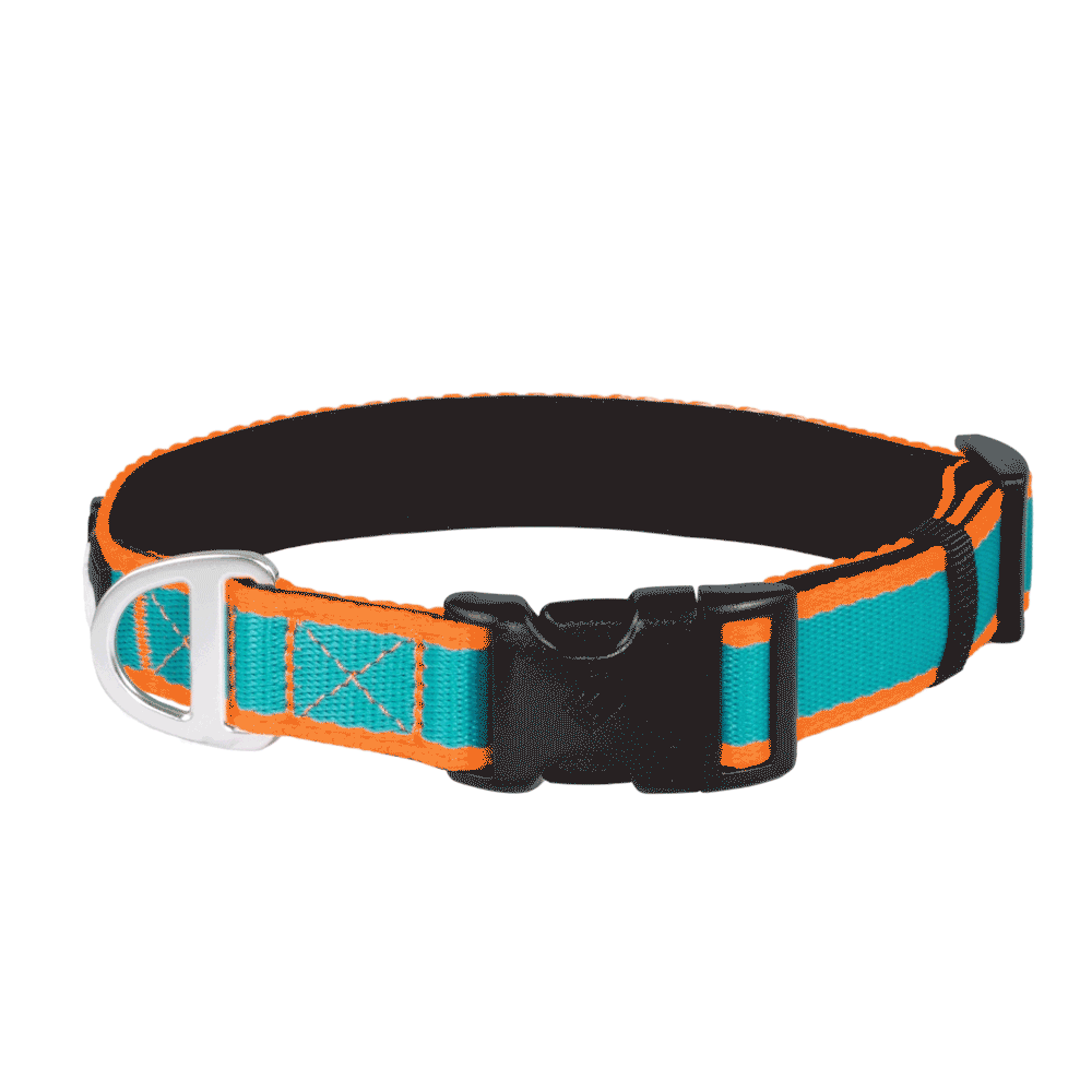 CAIRD Journey Light Dog Collar Nylon Padded Neoprene (Aqua & Orange)