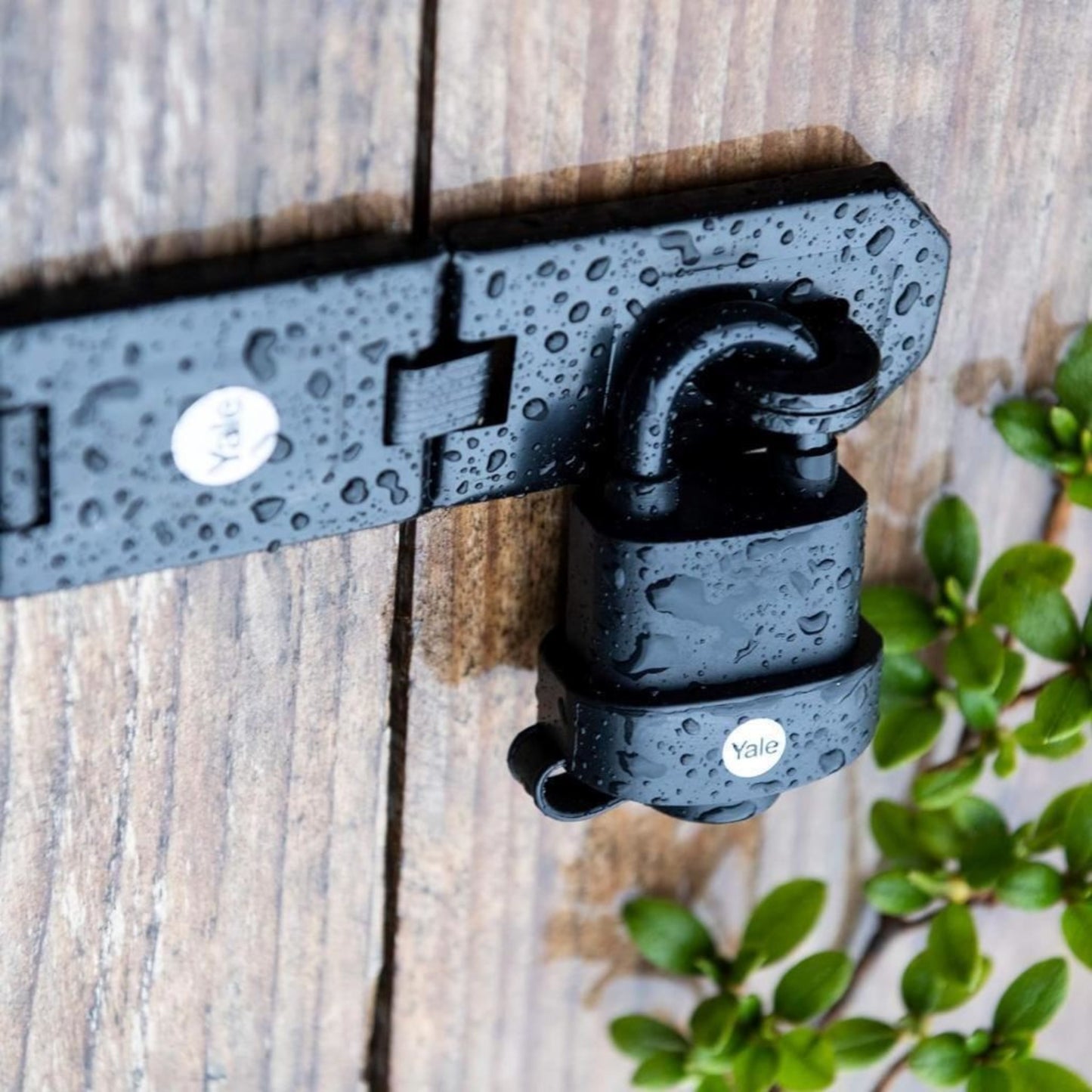 Yale Weatherproof Padlock and Hasp Outdoor Hardened Steel 3 Keys High Security