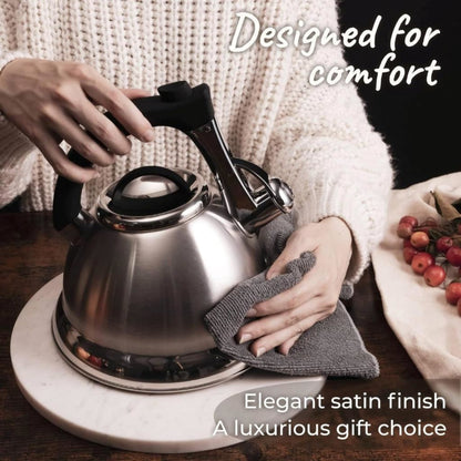 Pykal Whistling Kettle for Gas or Induction Stove Top 3L Stainless Steel iCool Handle