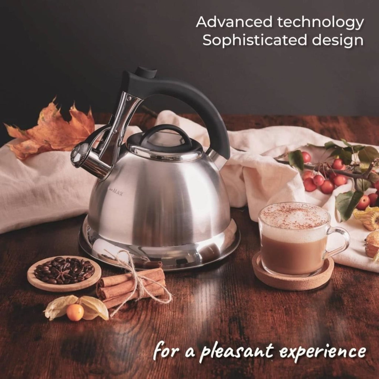 Pykal Whistling Kettle for Gas or Induction Stove Top 3L Stainless Steel iCool Handle