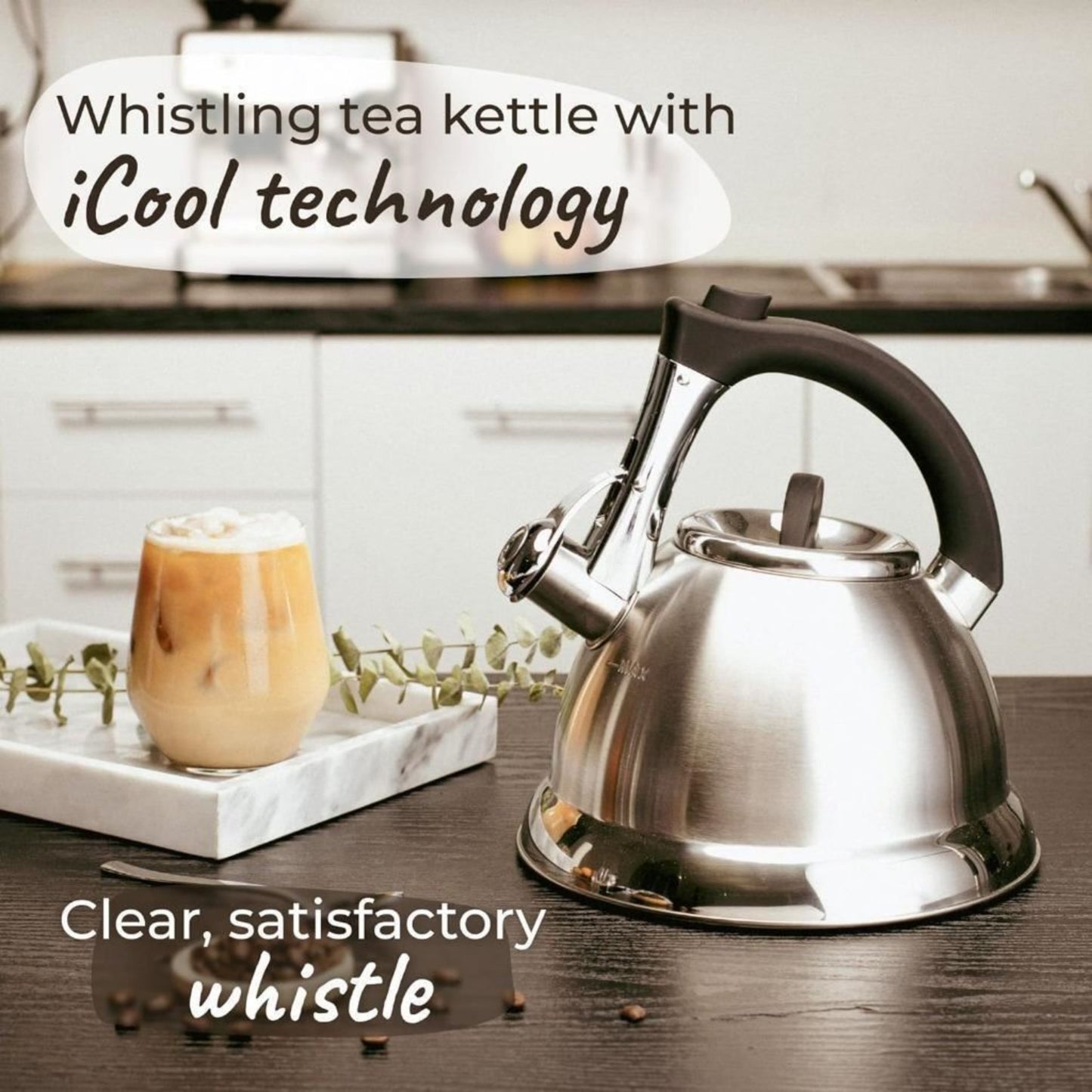 Pykal Whistling Kettle for Gas or Induction Stove Top 3L Stainless Steel iCool Handle