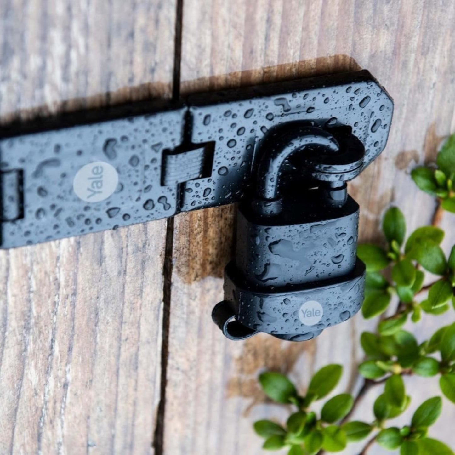 Yale Weatherproof Padlock Hight Protection Outdoor Hardened Shackle Pack of 3