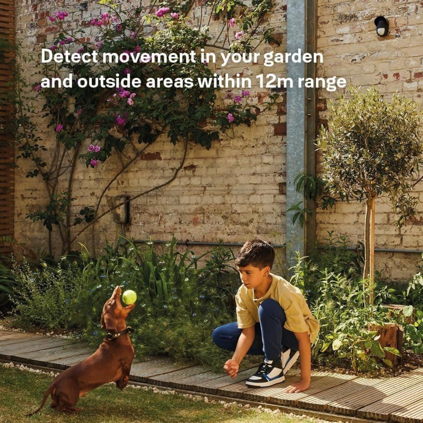 Yale Outdoor Motion Sensor 12m Range Pet Friendly Weatherproof Real Time Alerts