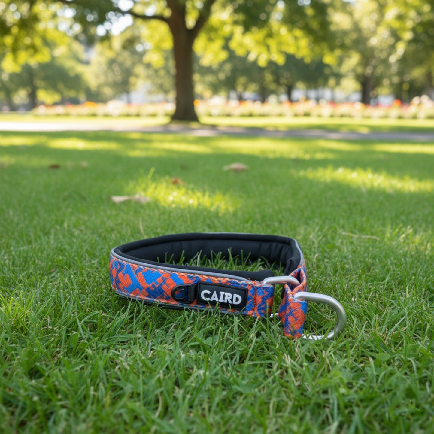 CAIRD Training Slip Dog Collar Reflective with Aluminium D-Ring Nylon Padded Neoprene No-Choke
