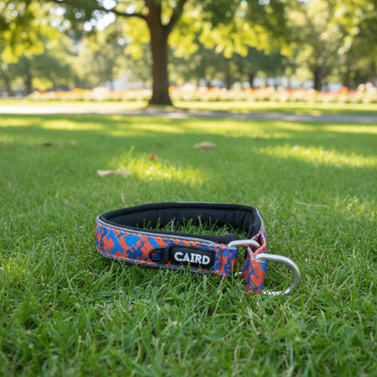 CAIRD Training Slip Dog Collar Reflective with Aluminium D-Ring Nylon Padded Neoprene No-Choke