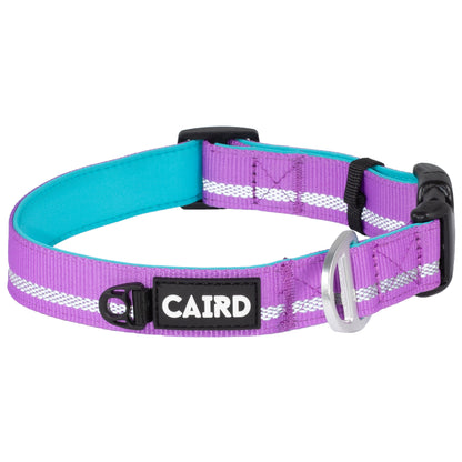 CAIRD Journey Light Adjustable Dog Collar Reflective Nylon Padded Neoprene (Purple)
