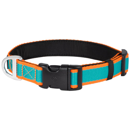 CAIRD Journey Light Dog Collar Nylon Padded Neoprene (Aqua & Orange)