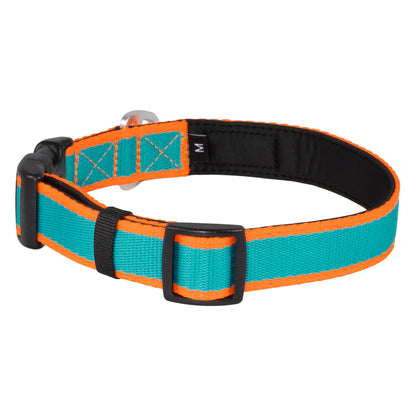 CAIRD Journey Light Dog Collar Nylon Padded Neoprene (Aqua & Orange)
