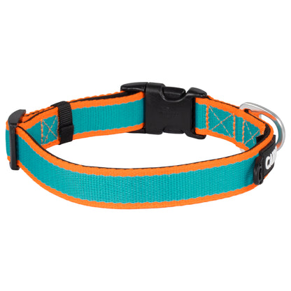 CAIRD Journey Light Dog Collar Nylon Padded Neoprene (Aqua & Orange)