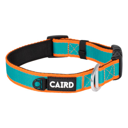 CAIRD Journey Light Dog Collar Nylon Padded Neoprene (Aqua & Orange)