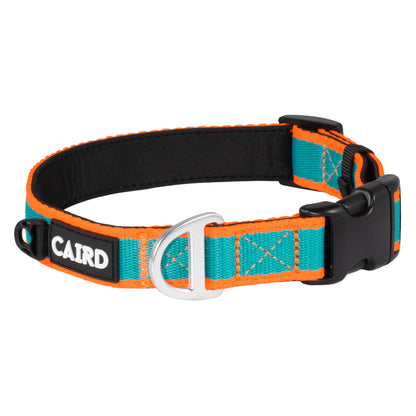 CAIRD Journey Light Dog Collar Nylon Padded Neoprene (Aqua & Orange)