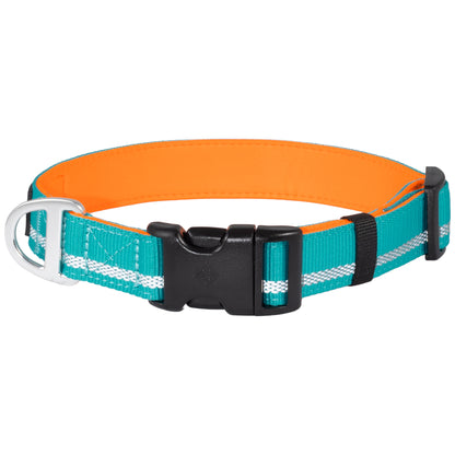 CAIRD Journey Light Adjustable Dog Collar Reflective Nylon Padded Neoprene (Aqua & Orange)