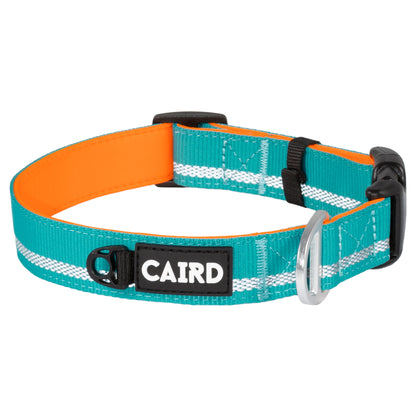 CAIRD Journey Light Adjustable Dog Collar Reflective Nylon Padded Neoprene (Aqua & Orange)