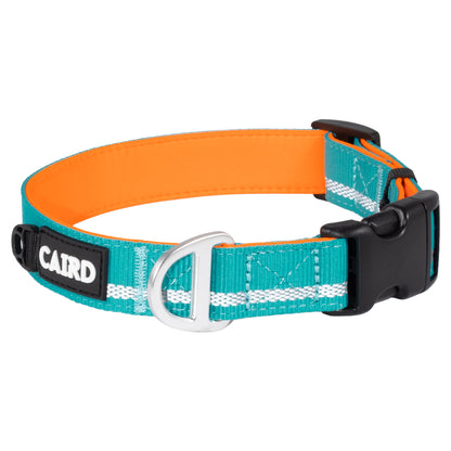 CAIRD Journey Light Adjustable Dog Collar Reflective Nylon Padded Neoprene (Aqua & Orange)