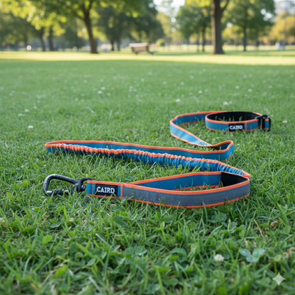 CAIRD Bungee Hands Free Dog Lead Adjustable Waist Belt Aluminium Locking Carabiner