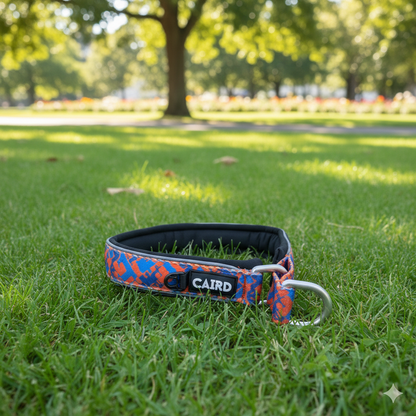 CAIRD Training Slip Dog Collar Reflective with Aluminium D-Ring Nylon Padded Neoprene No-Choke