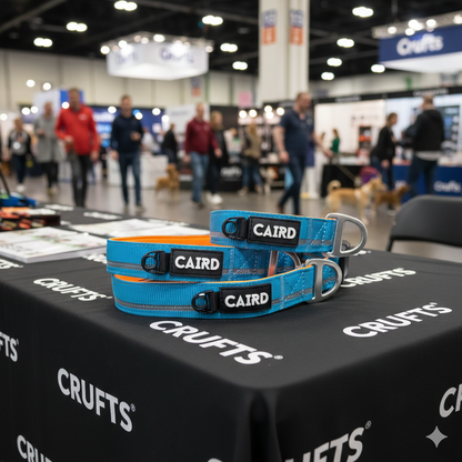 CAIRD Journey Light Adjustable Dog Collar Reflective Nylon Padded Neoprene (Aqua & Orange)