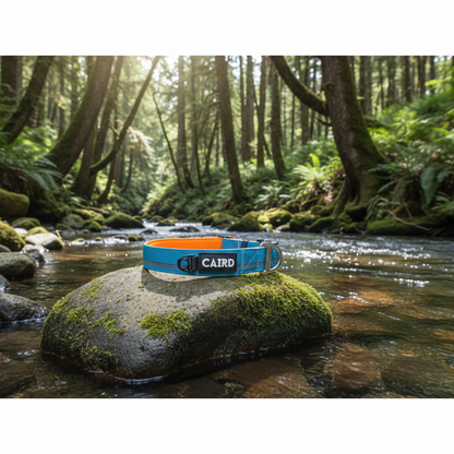 CAIRD Journey Light Adjustable Dog Collar Reflective Nylon Padded Neoprene (Aqua & Orange)