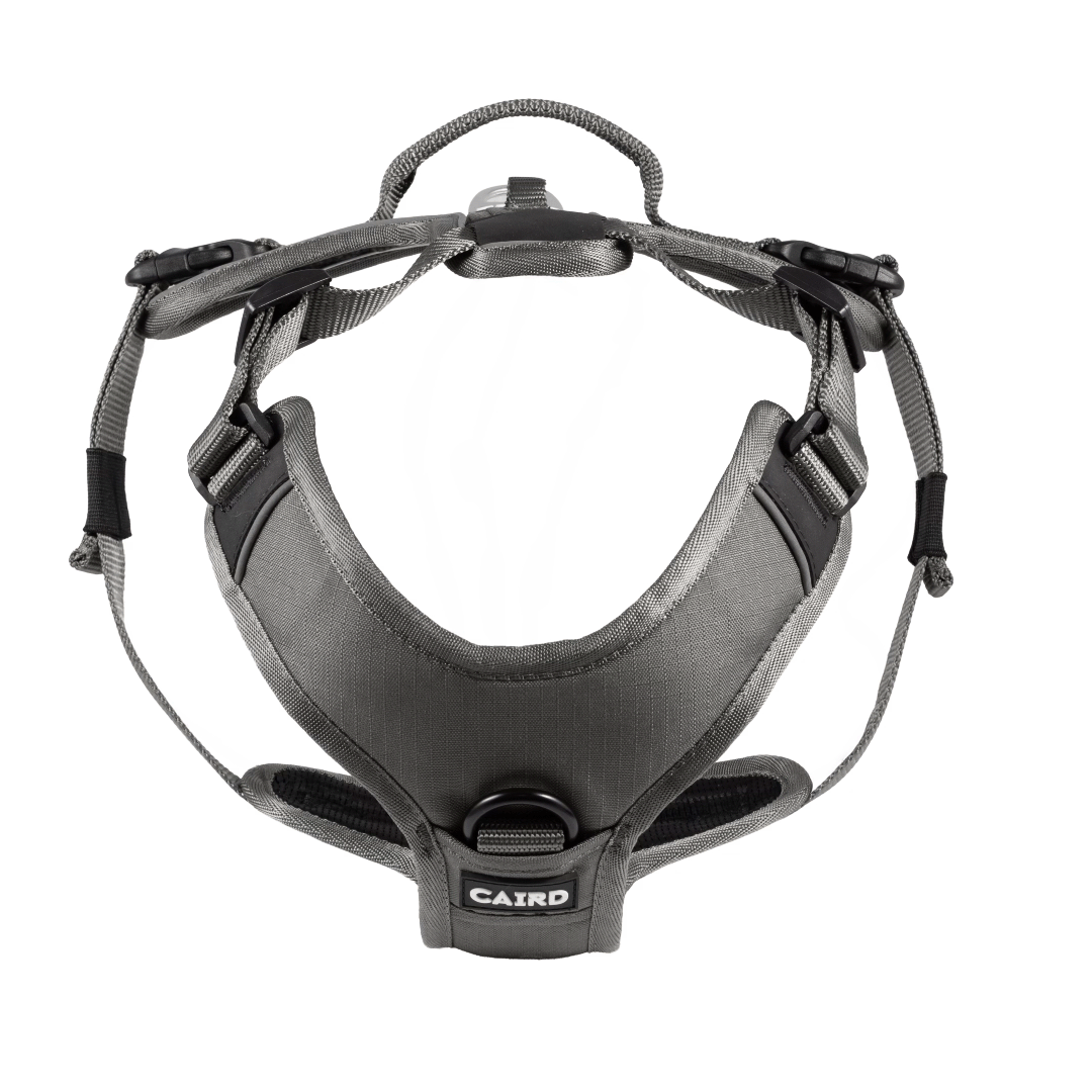 CAIRD Advance Dog Harness Ergonomic Y-Shape No Pull Reflective with Handle Grey (Medium)
