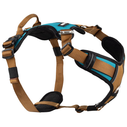 CAIRD Elevate Adjustable Dog Harness 5-Point No Pull Harness with Reflective Trim Front & Back Lead Clips