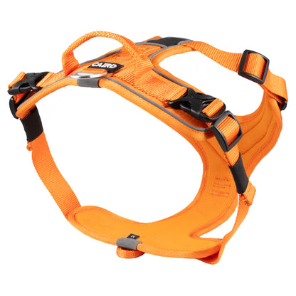 CAIRD Advance Dog Harness Ergonomic Y-Shape No Pull Reflective with Handle Orange