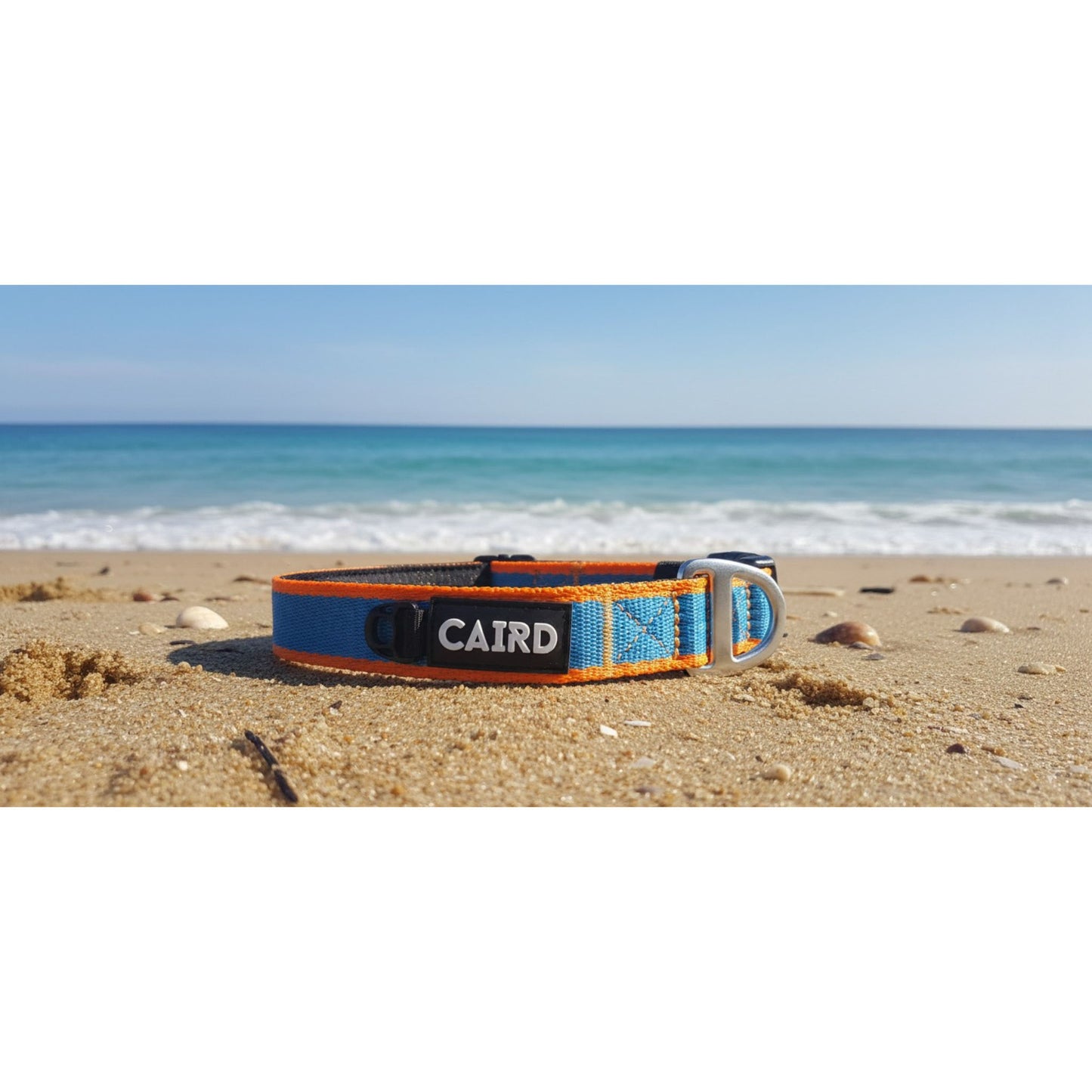 CAIRD Journey Light Dog Collar Nylon Padded Neoprene (Aqua & Orange)