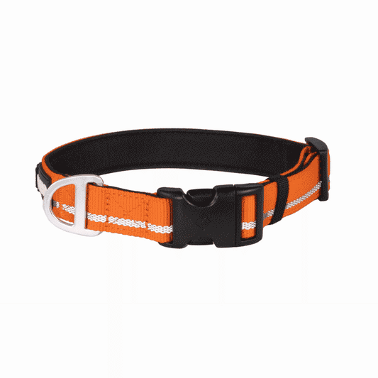 CAIRD Journey Light Adjustable Dog Collar Reflective Nylon Padded Neoprene (Orange)