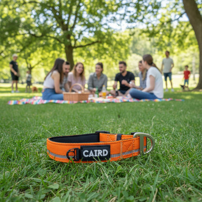 CAIRD Journey Light Adjustable Dog Collar Reflective Nylon Padded Neoprene (Orange)