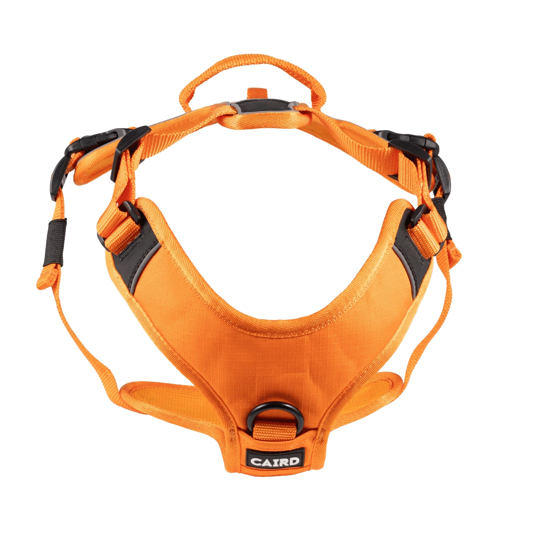 CAIRD Advance Dog Harness Ergonomic Y-Shape No Pull Reflective with Handle Orange