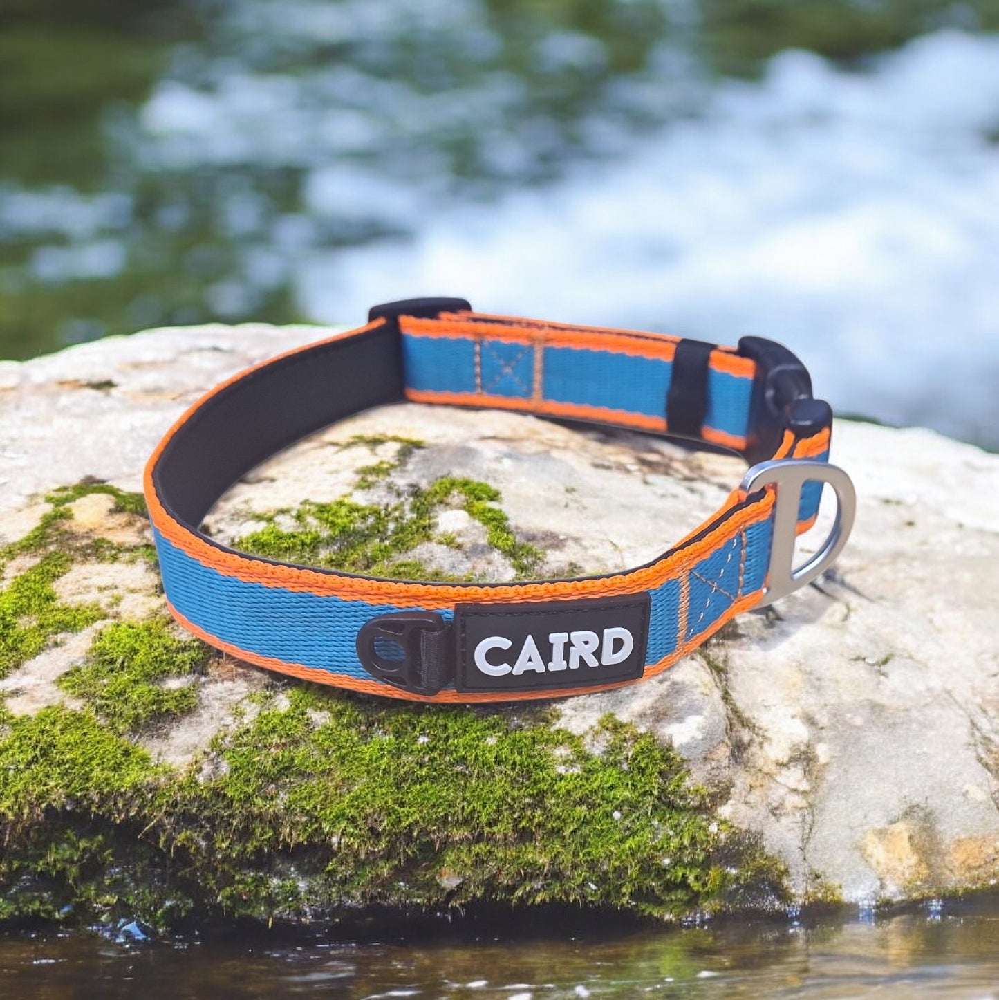 CAIRD Journey Light Dog Collar Nylon Padded Neoprene (Aqua & Orange)