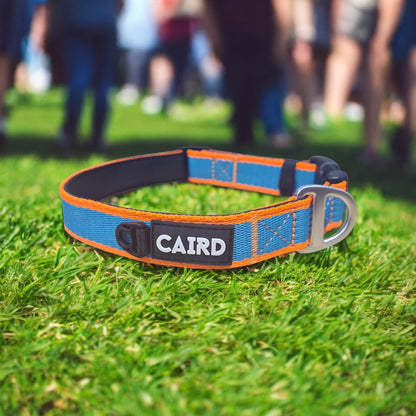 CAIRD Journey Light Dog Collar Nylon Padded Neoprene (Aqua & Orange)