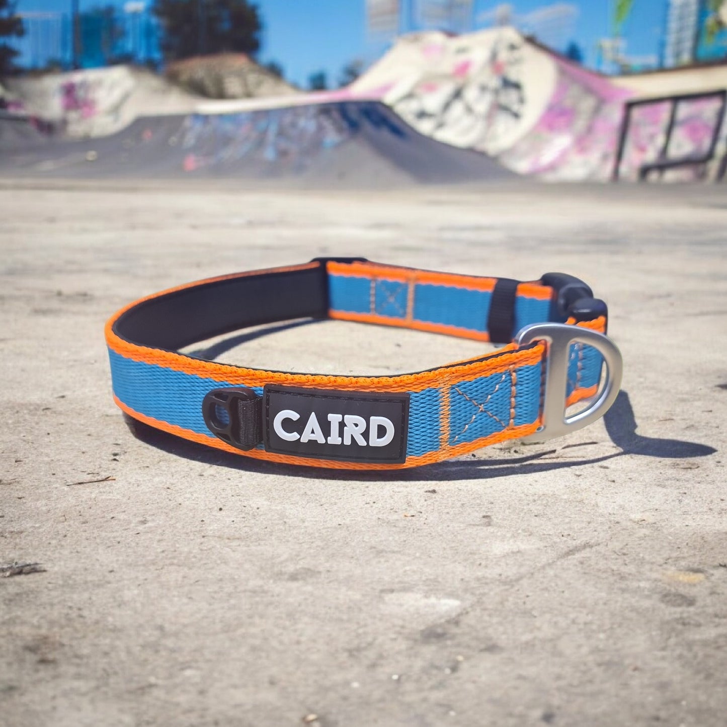 CAIRD Journey Light Dog Collar Nylon Padded Neoprene (Aqua & Orange)