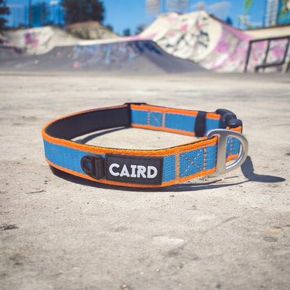 CAIRD Journey Light Dog Collar Nylon Padded Neoprene (Aqua & Orange)