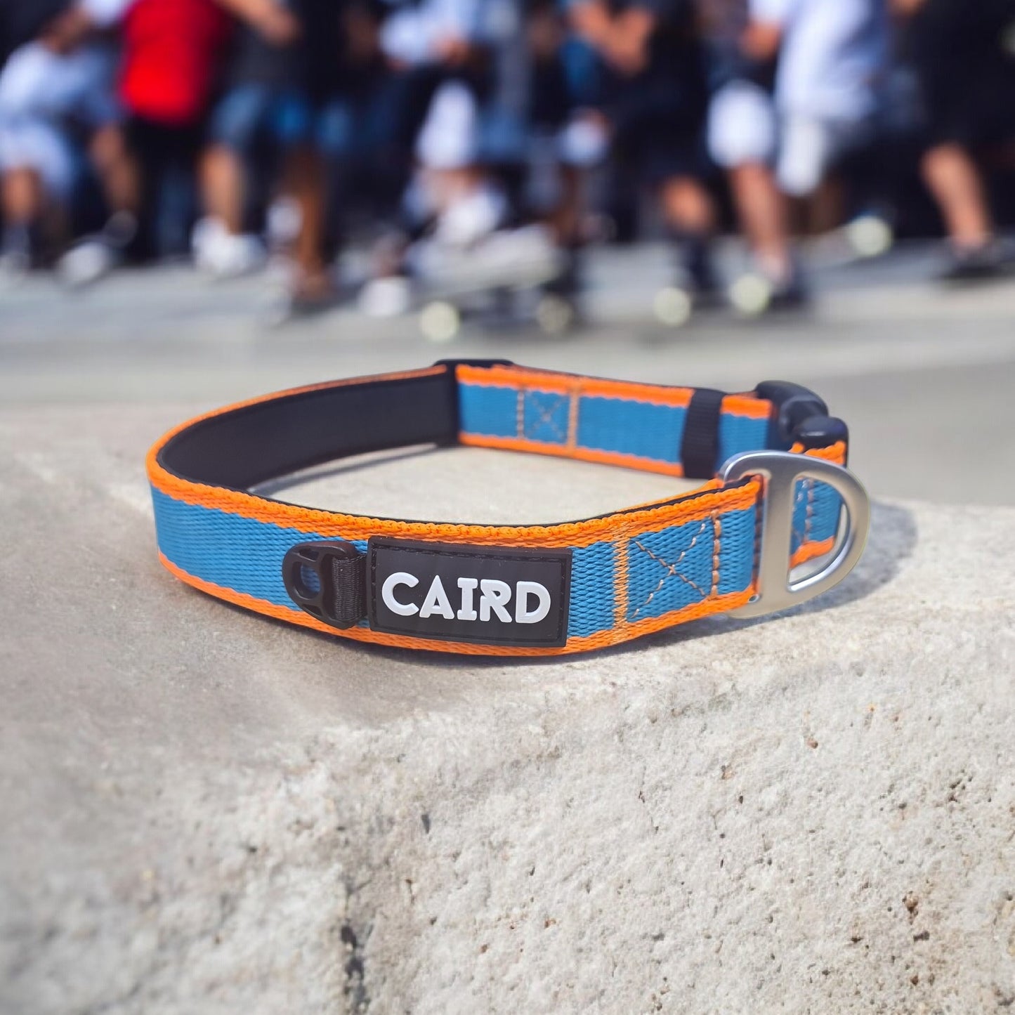 CAIRD Journey Light Dog Collar Nylon Padded Neoprene (Aqua & Orange)
