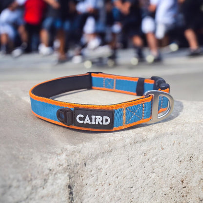 CAIRD Journey Light Dog Collar Nylon Padded Neoprene (Aqua & Orange)