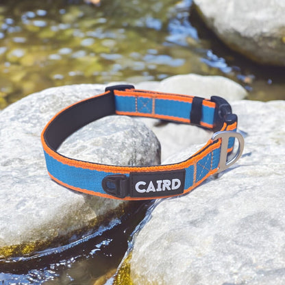CAIRD Journey Light Dog Collar Nylon Padded Neoprene (Aqua & Orange)