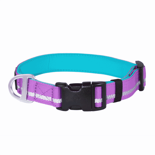 CAIRD Journey Light Adjustable Dog Collar Reflective Nylon Padded Neoprene (Purple)
