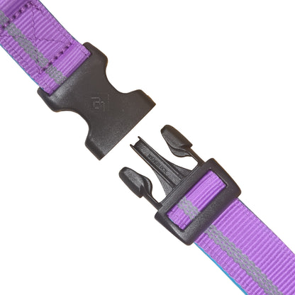 CAIRD Journey Light Adjustable Dog Collar Reflective Nylon Padded Neoprene (Purple)