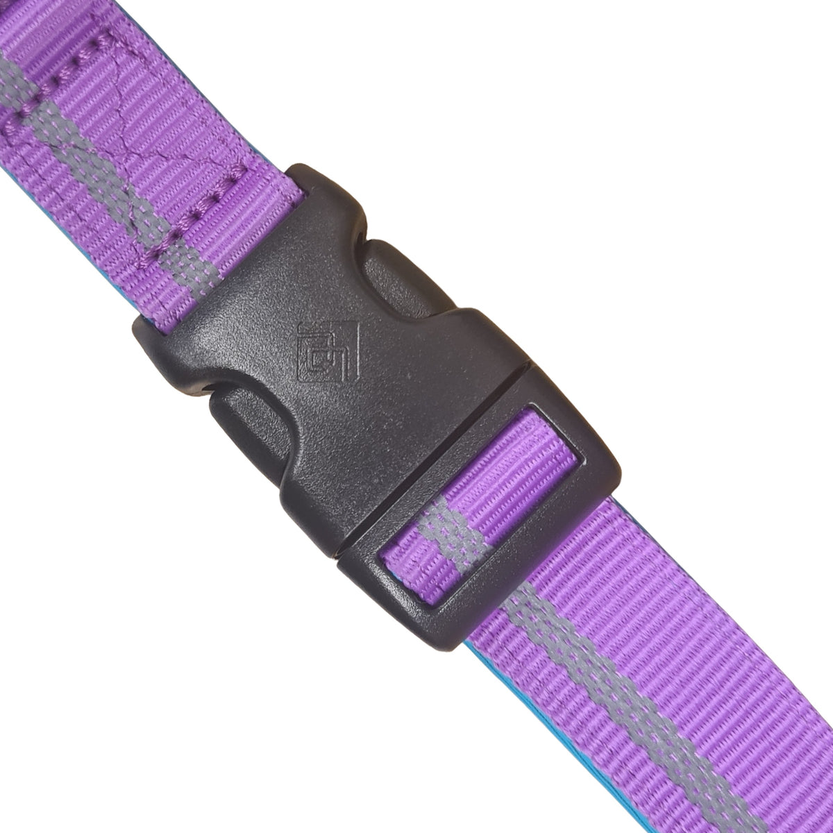 CAIRD Journey Light Adjustable Dog Collar Reflective Nylon Padded Neoprene (Purple)