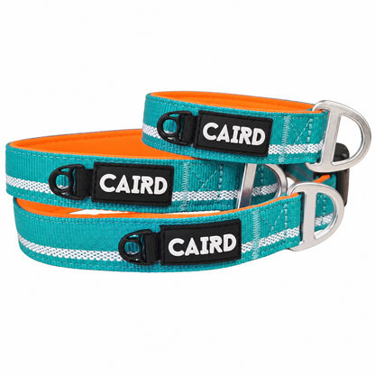 CAIRD Journey Light Adjustable Dog Collar Reflective Nylon Padded Neoprene (Aqua & Orange)