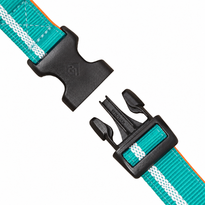 CAIRD Journey Light Adjustable Dog Collar Reflective Nylon Padded Neoprene (Aqua & Orange)